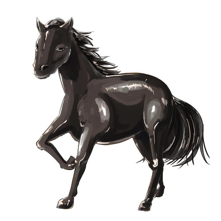 90年男马的属相婚配表(十二生肖配对指南)