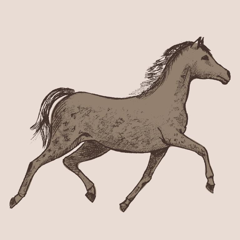 2029年属马的多少岁(马年人迎来60岁大寿)