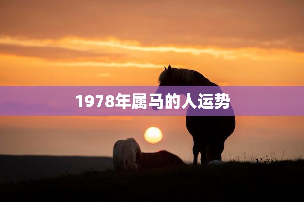 1978年属马的人运势(2023年运势大揭秘)