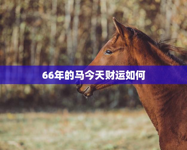 66年的马今天财运如何(解析今日财运如何看看这些指标就知道了)