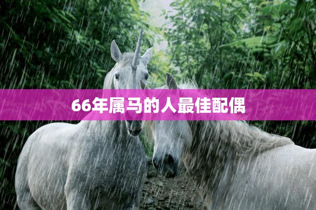 66年属马的人最佳配偶(如何选择)
