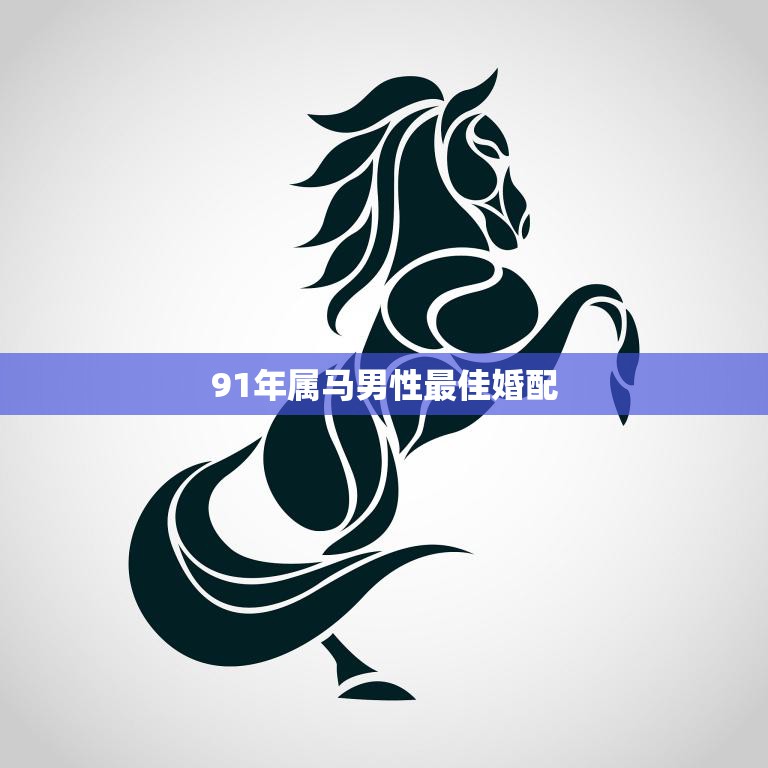 91年属马男性最佳婚配(如何选择最适合的伴侣)