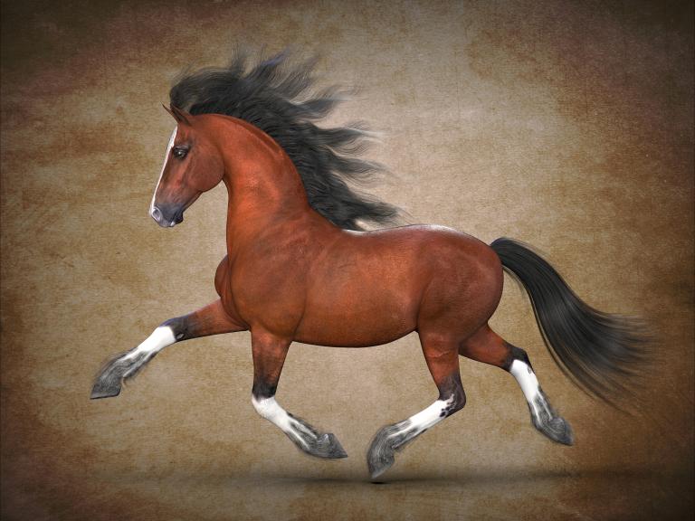 属马和什么属相最配婚姻(如何选择最佳配偶)