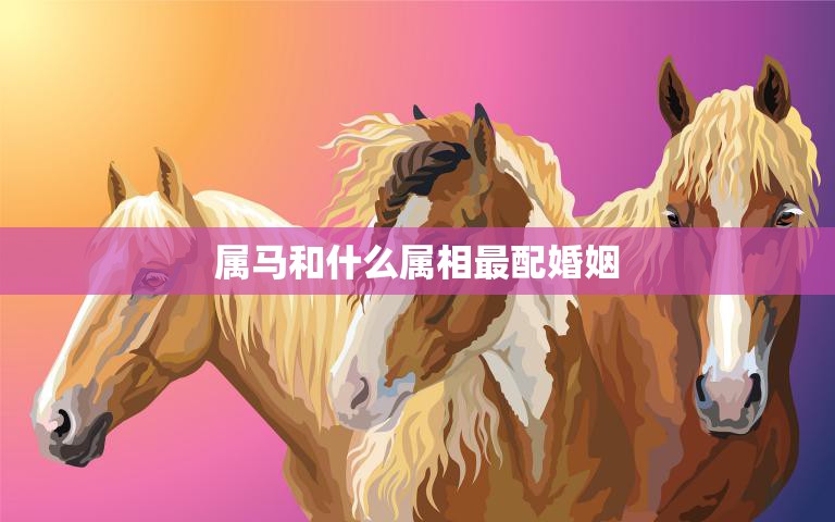 属马和什么属相最配婚姻(如何选择最佳配偶)