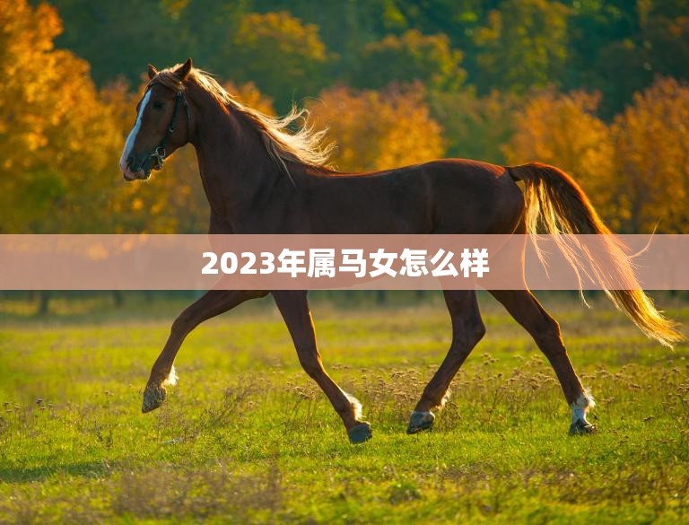 2023年属马女怎么样(马上飞奔向成功)