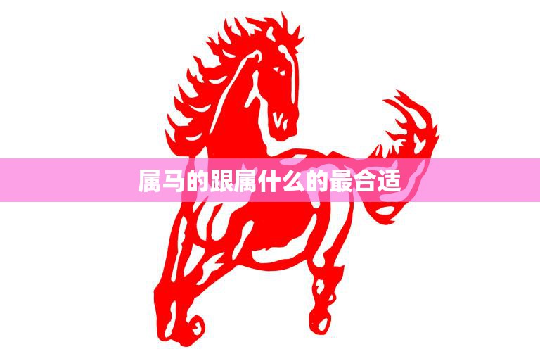属马的跟属什么的最合适(如何选择最佳搭档)