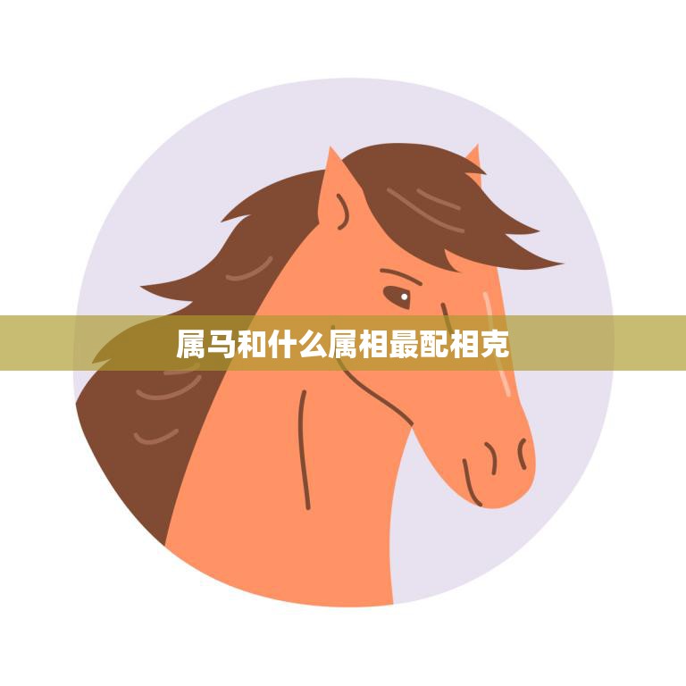 属马和什么属相最配相克(最佳配对大揭秘)