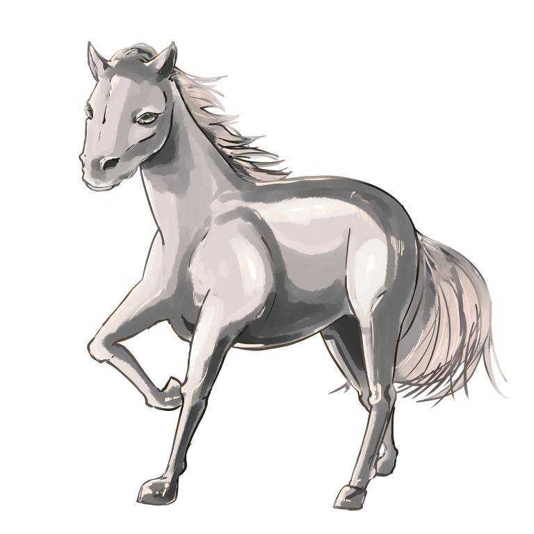 82岁属马今年运势如何(老马迎来喜事财运旺盛健康需注意)