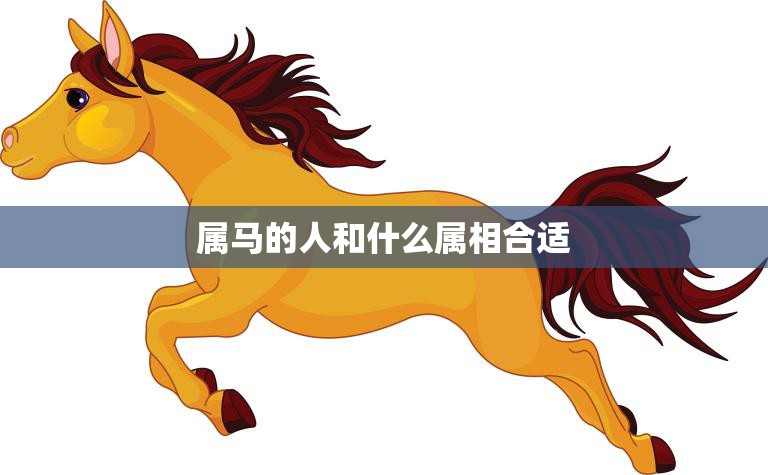 属马的人和什么属相合适(寻找最佳配对)