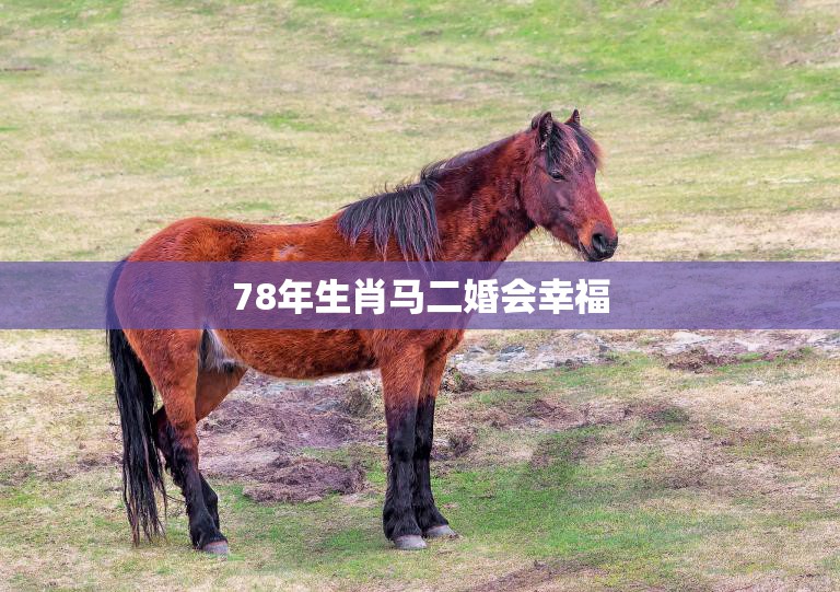 78年生肖马二婚会幸福(二婚不是问题幸福才是关键)