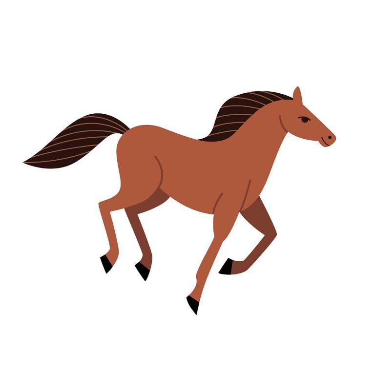 1942年属马人的寿命(马年出生的人寿命如何)