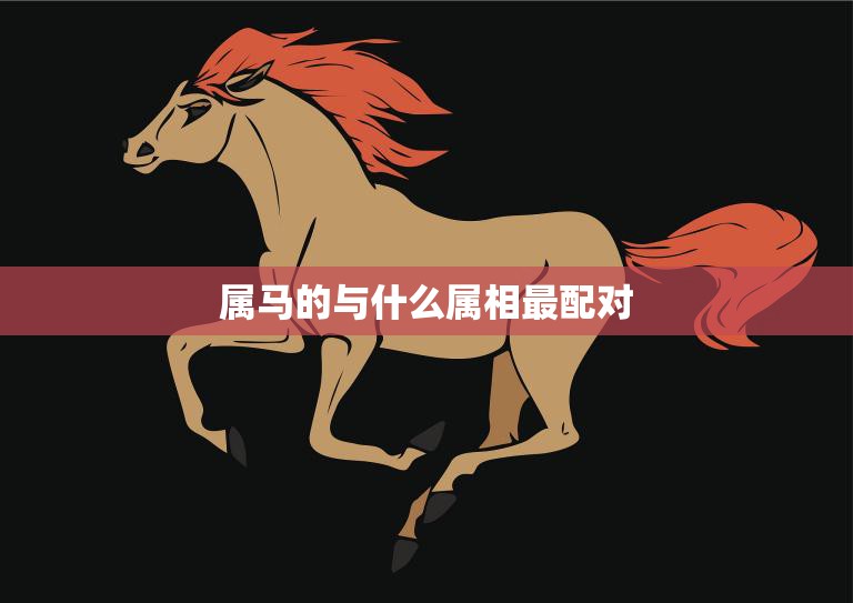 属马的与什么属相最配对(揭秘十二生肖中最佳配对组合)