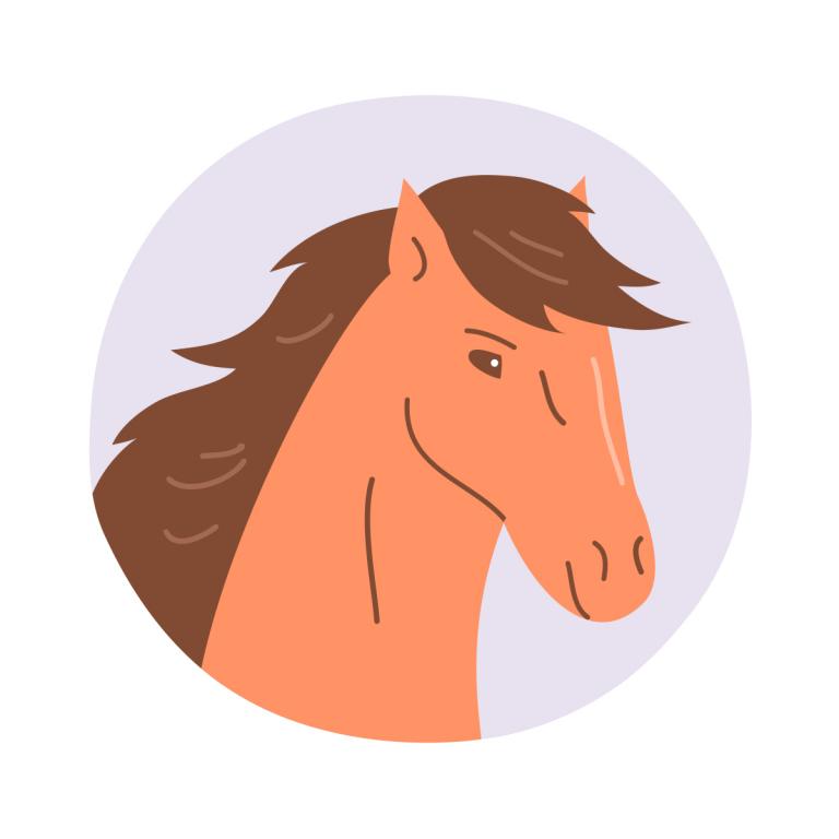 属马今年几岁了2023(马年人的年龄计算方法详解)