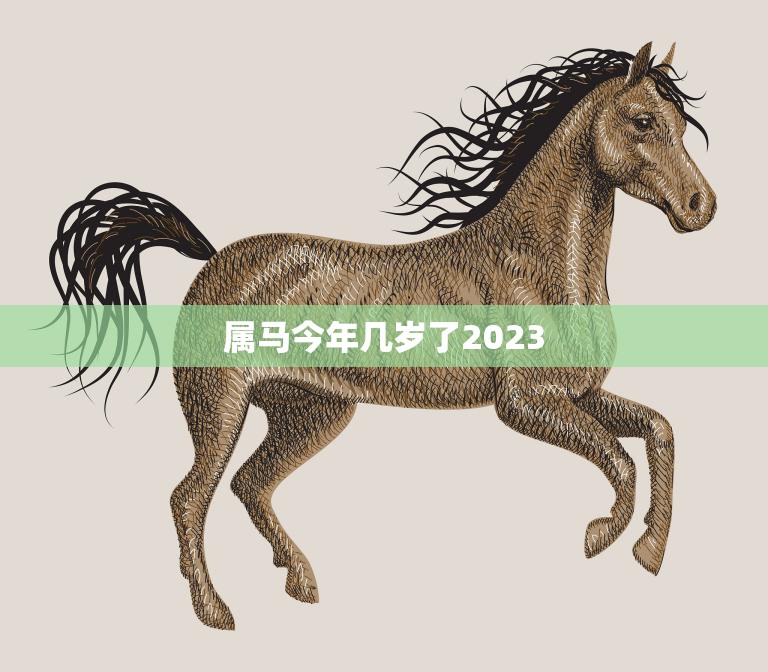 属马今年几岁了2023(马年人的年龄计算方法详解)