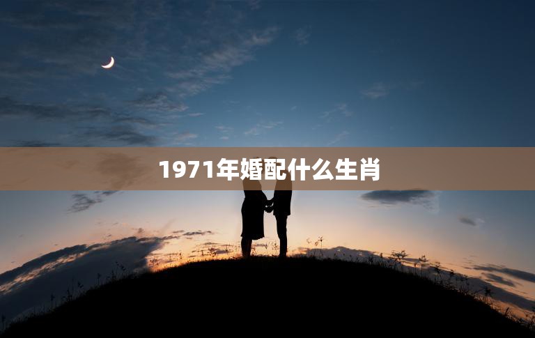 1971年婚配什么生肖(幸福婚姻的秘诀)