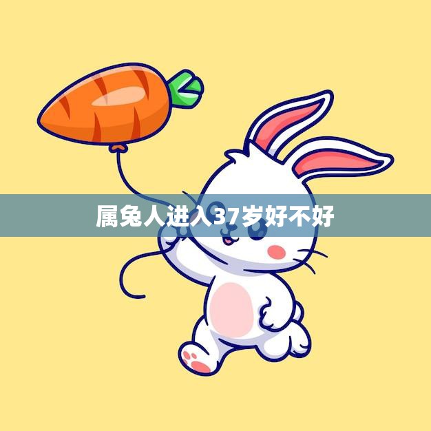 属兔人进入37岁好不好(如何应对人生的新阶段)