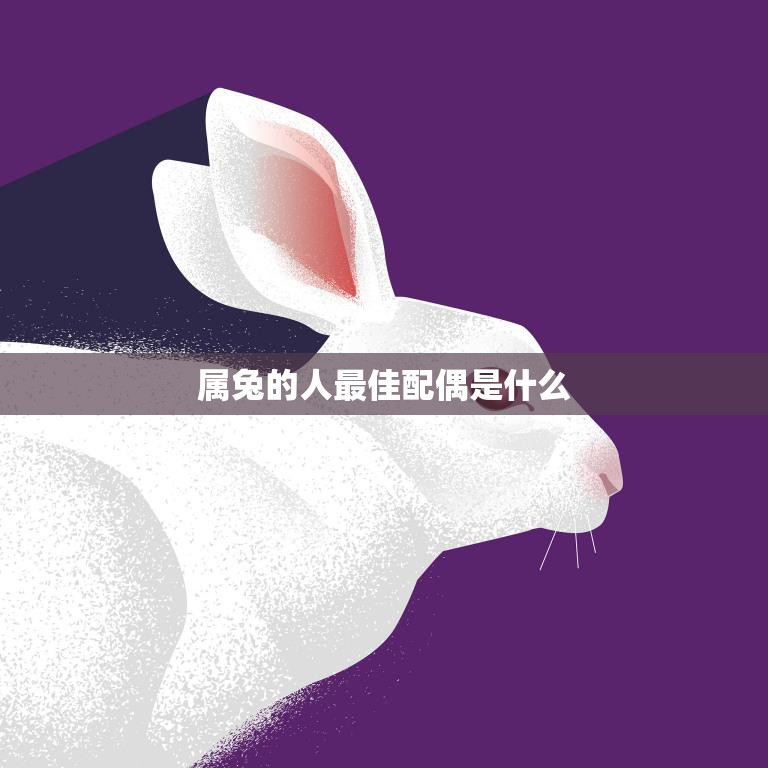 属兔的人最佳配偶是什么(如何选择最适合你的伴侣)