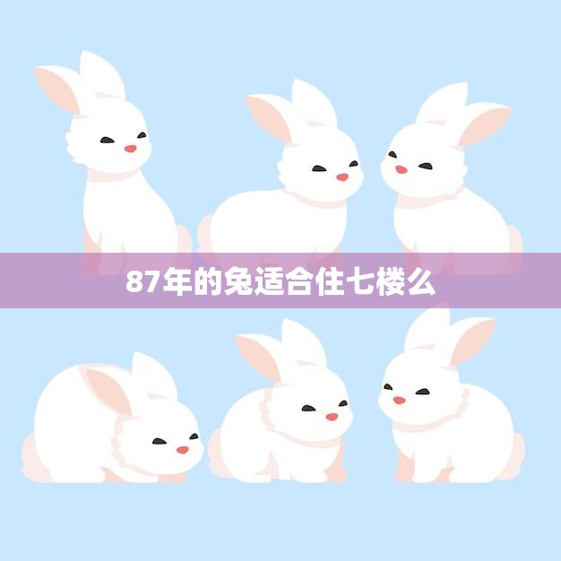 87年的兔适合住七楼么(考虑安全与舒适选择合适的住所)
