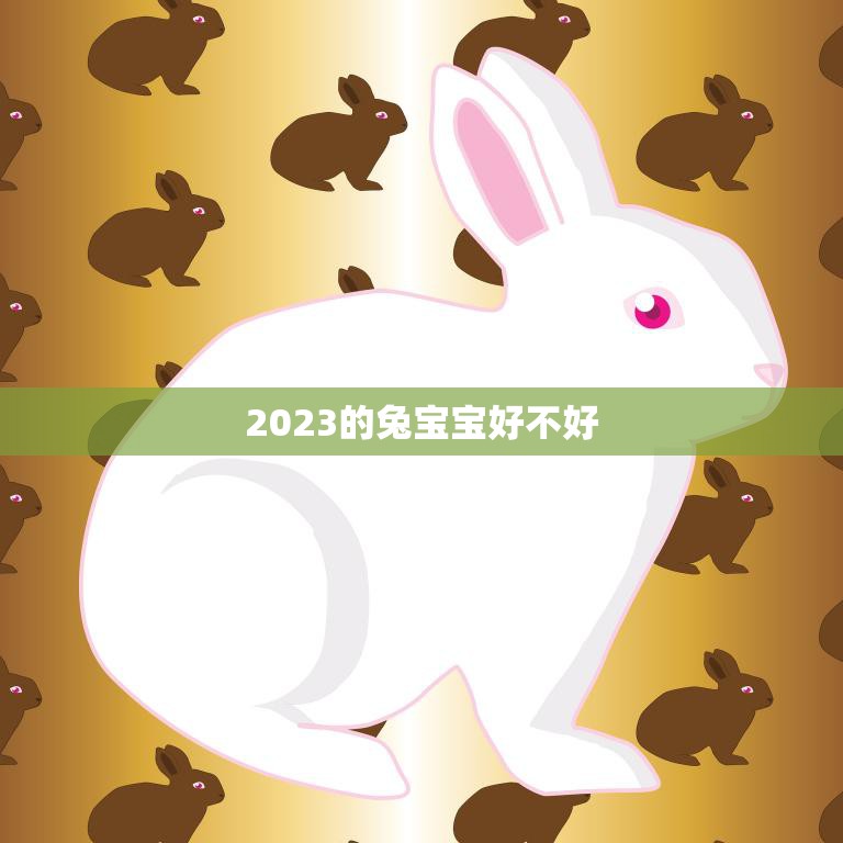 2023的兔宝宝好不好(预测兔年宝宝将拥有聪明灵活的特质)