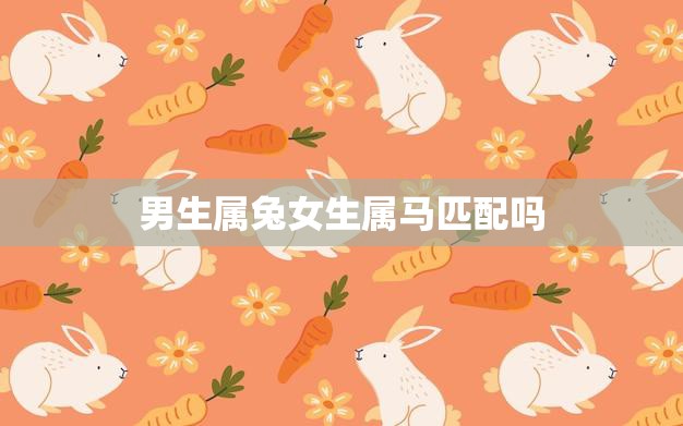 男生属兔女生属马匹配吗(星座配对大揭秘)