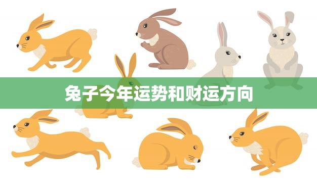 兔子今年运势和财运方向(2023财运旺盛但需谨慎投资)