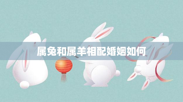 属兔和属羊相配婚姻如何(幸福的秘诀)