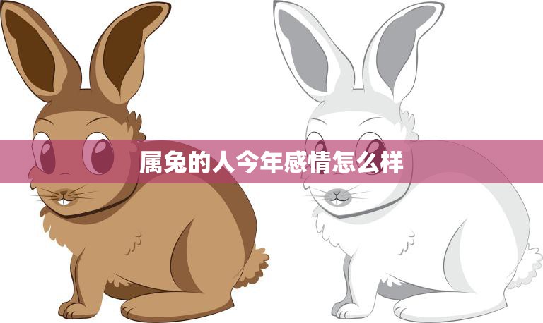 属兔的人今年感情怎么样(2023年爱情运势大揭秘)