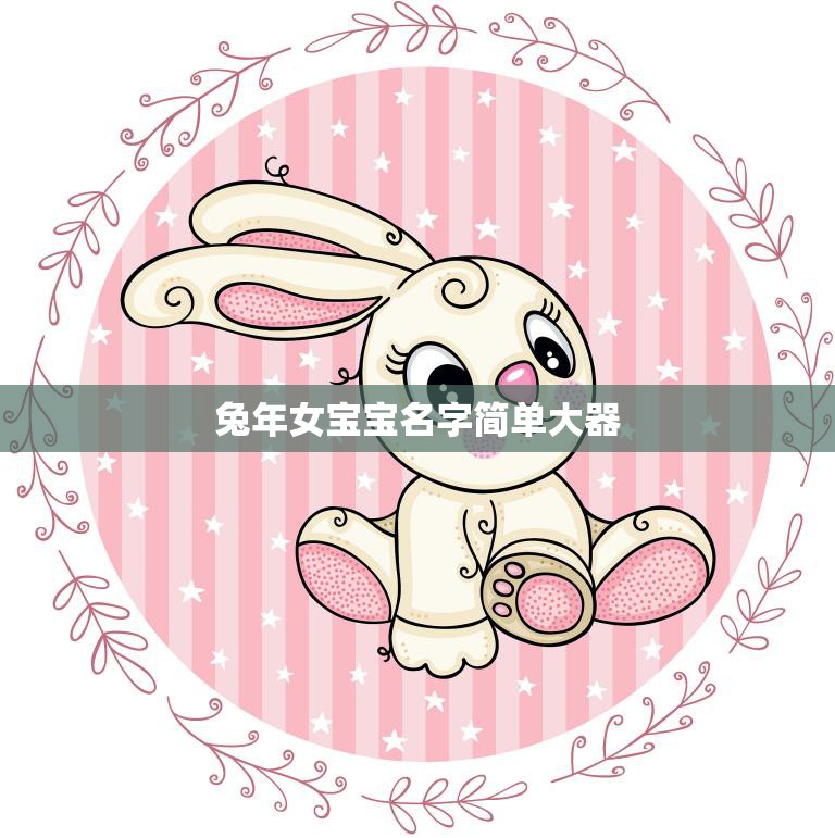 兔年女宝宝名字简单大器(如何选择)