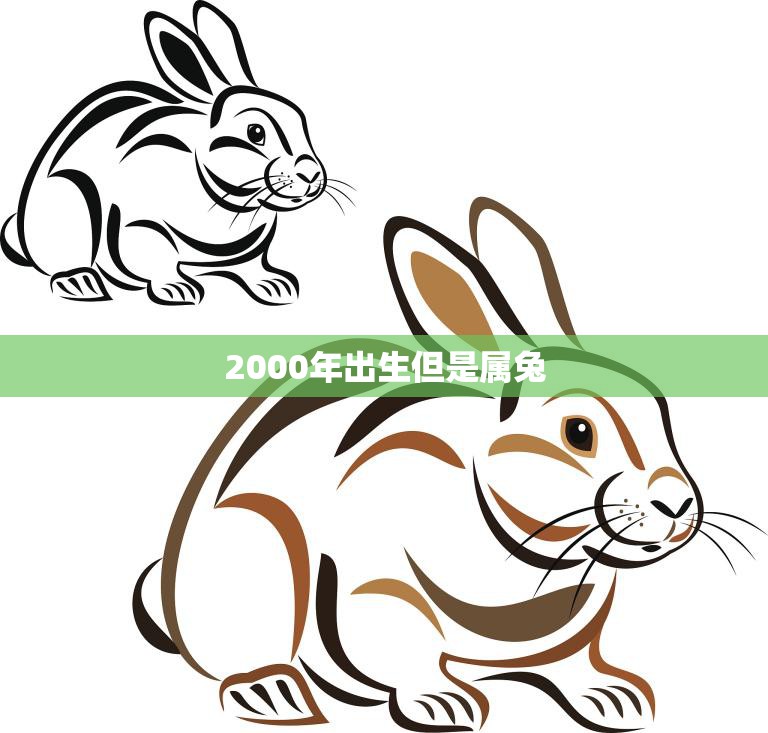 2000年出生但是属兔(兔年生肖解读性格特点与运势分析)