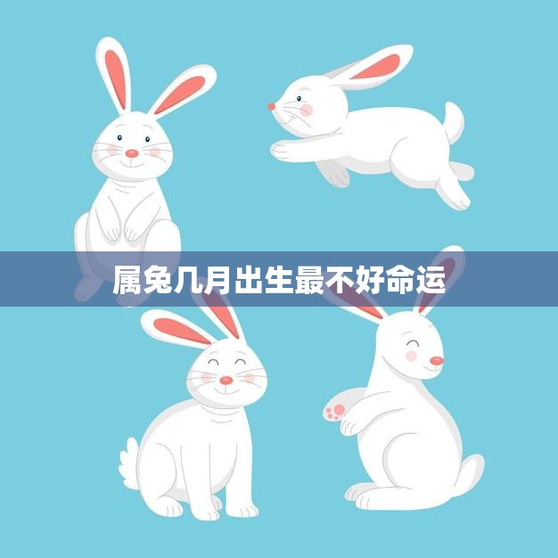 属兔几月出生最不好命运(揭秘兔年中哪些月份最不吉祥)