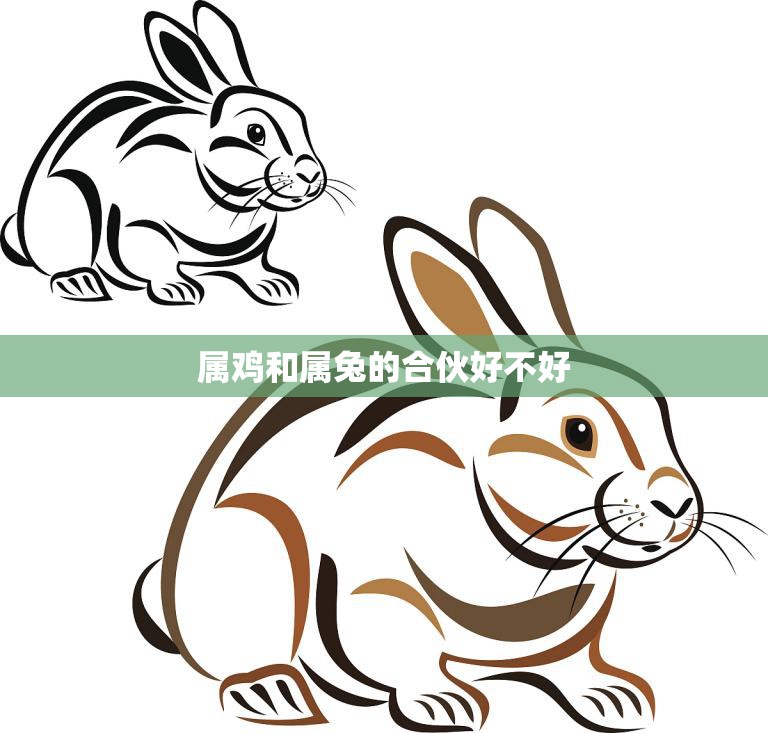 属鸡和属兔的合伙好不好(解析合作还是分手)