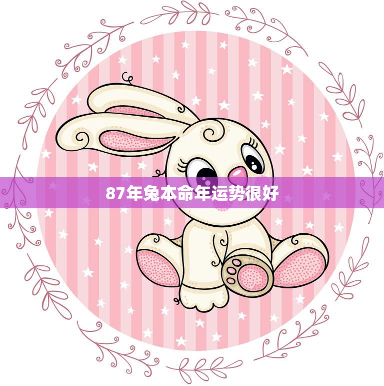 87年兔本命年运势很好(兔子们好运连连财源滚滚来)