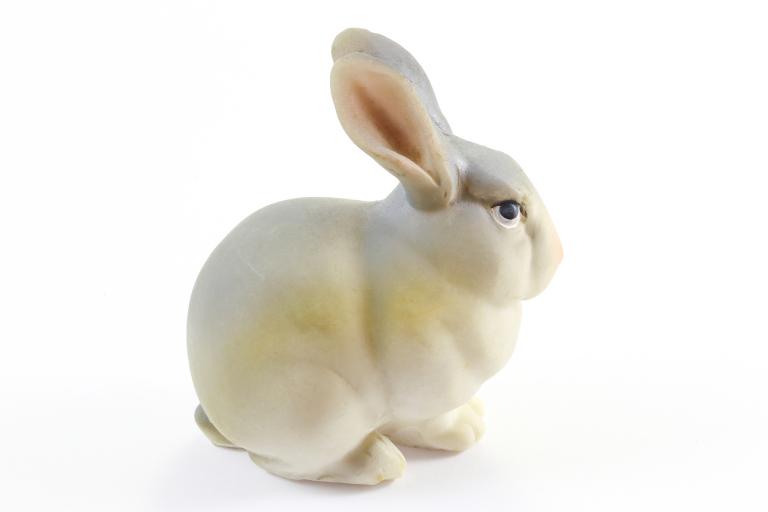 2011年属兔一生学业(如何在学业上取得成功)