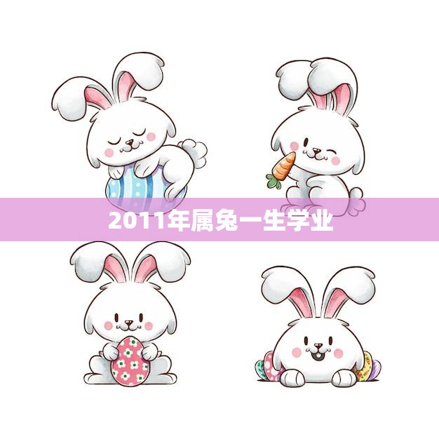 2011年属兔一生学业(如何在学业上取得成功)