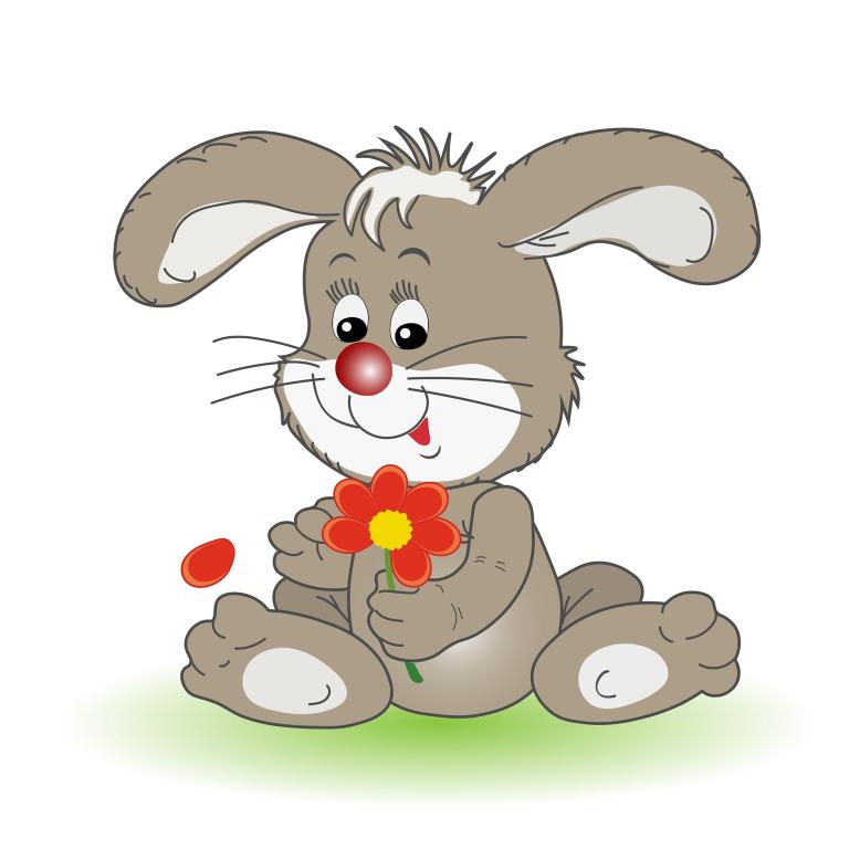 草字头适合兔宝宝的名字(如何选择)