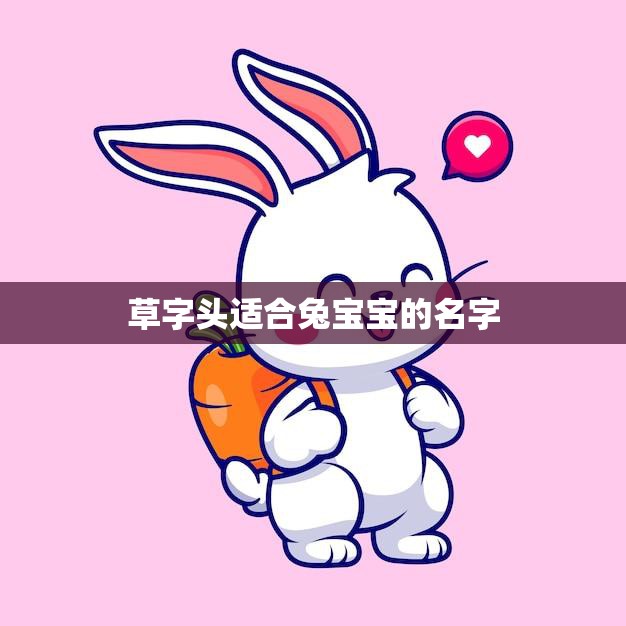 草字头适合兔宝宝的名字(如何选择)