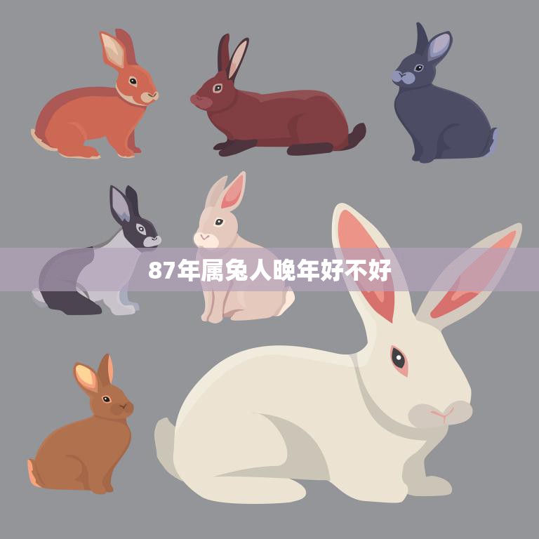 87年属兔人晚年好不好(如何预防老年疾病)