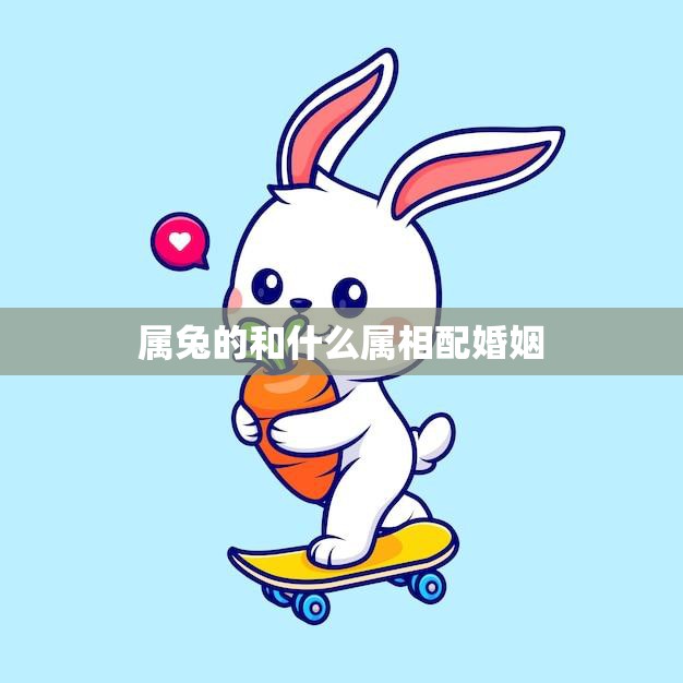 属兔的和什么属相配婚姻(如何选择最佳配偶)
