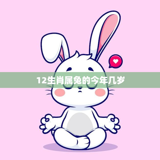 12生肖属兔的今年几岁(兔年生肖属兔的年龄计算方法详解)