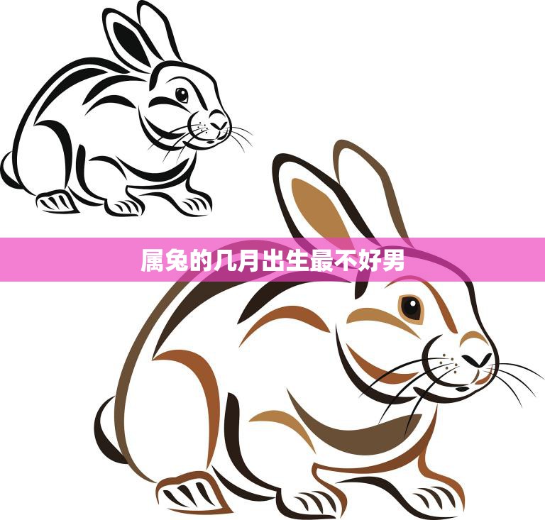 属兔的几月出生最不好男(你是否中招了)