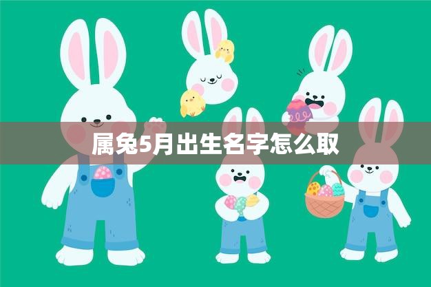 属兔5月出生名字怎么取(如何为宝宝取一个好名字)