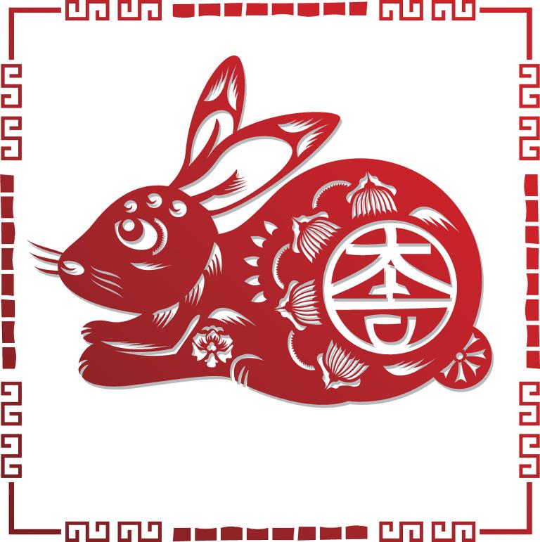 养兔子的方法和注意事项(如何照顾你的兔子)