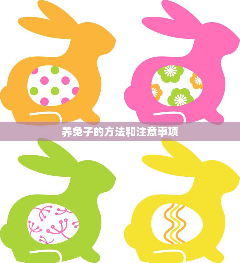 养兔子的方法和注意事项(如何照顾你的兔子)
