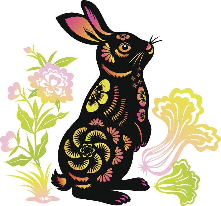 2023兔宝宝缺金取名(如何给兔宝宝取名)