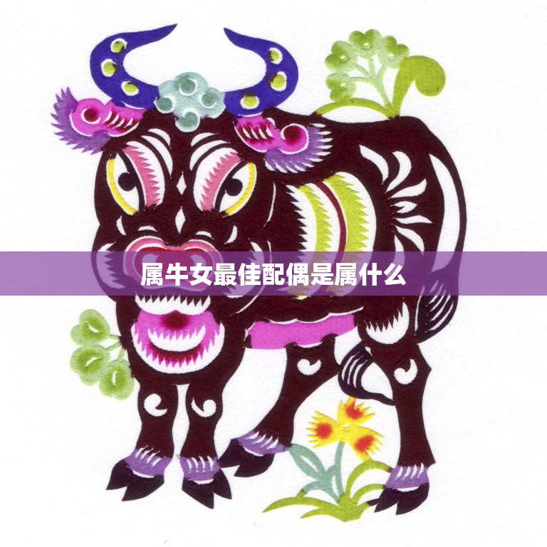 属牛女最佳配偶是属什么(寻找最佳星座配对)