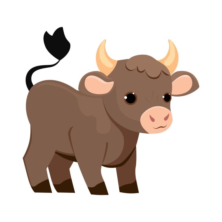 牛年是1973今年多大(回顾牛年人的成长历程)