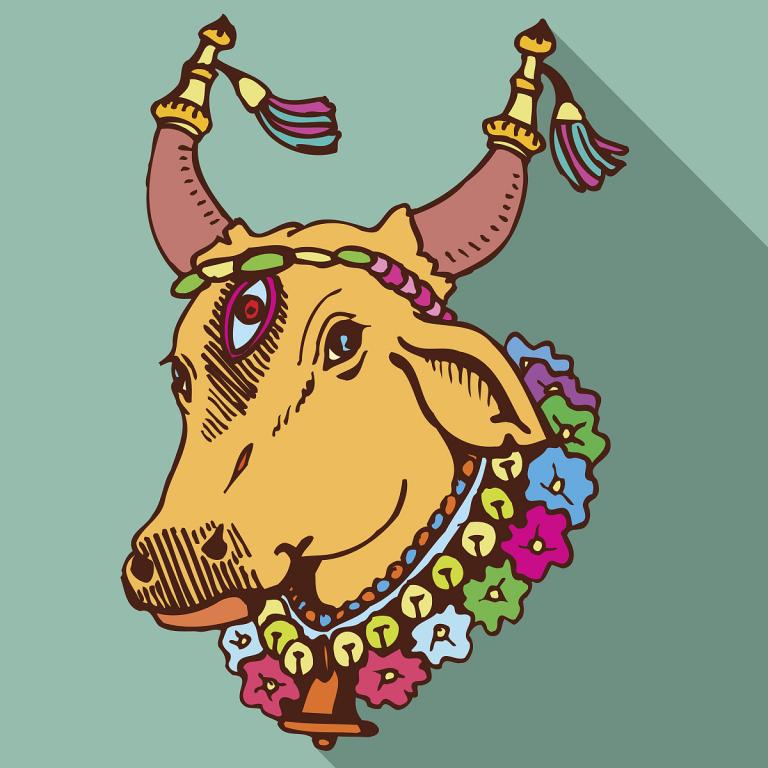 牛年是1973今年多大(回顾牛年人的成长历程)