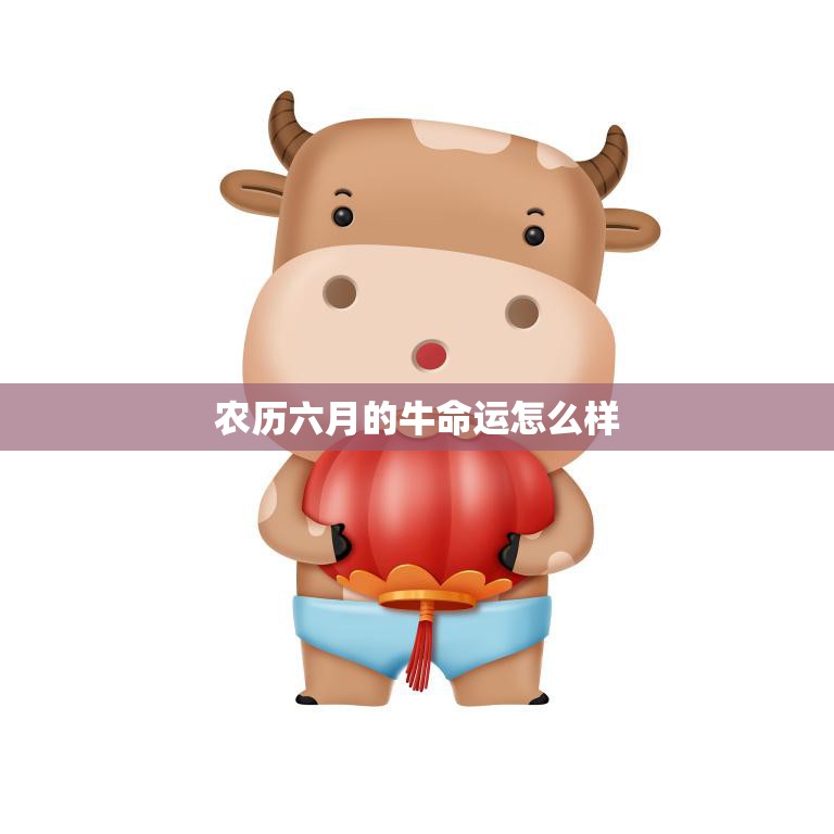 农历六月的牛命运怎么样(解析财运亨通还是波折重重)