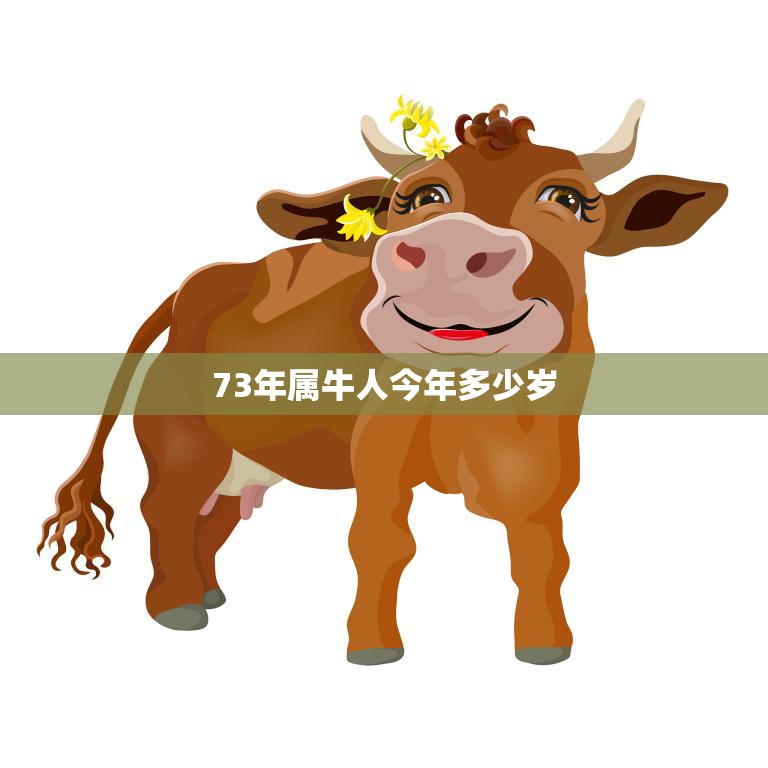 73年属牛人今年多少岁(如何计算属牛人的年龄)