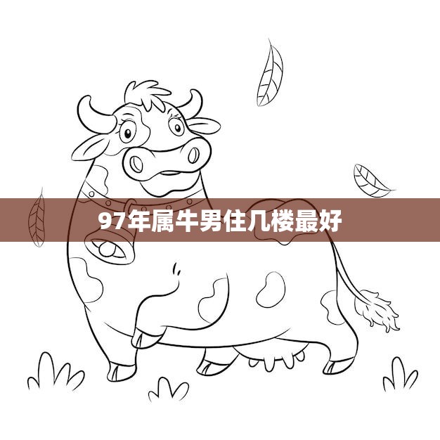 97年属牛男住几楼最好(如何选择最佳居住楼层)